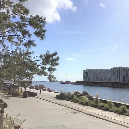 Daire A Spacious Modern 3-bedroom In Nordhavn *