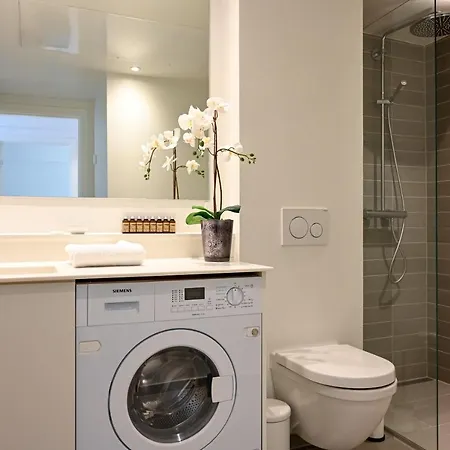 A Spacious Modern 3-bedroom In Nordhavn Daire *